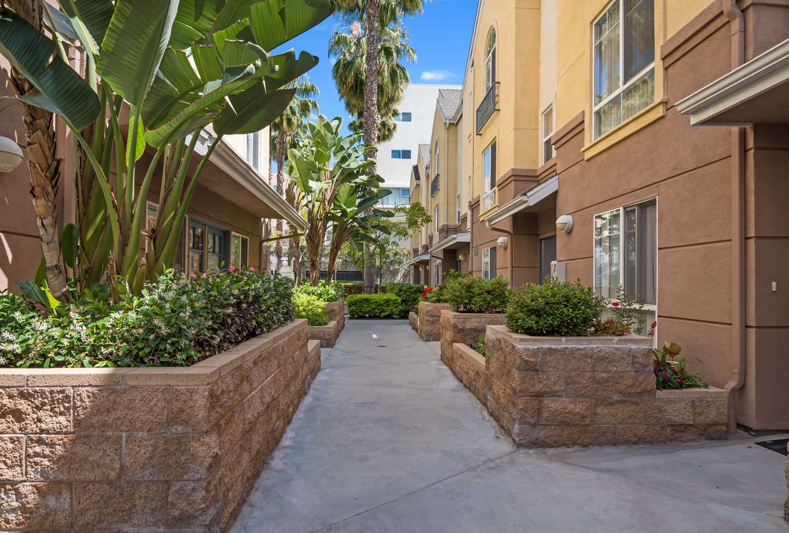 Amenities